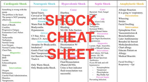 Shock Cheat Sheet Etsy