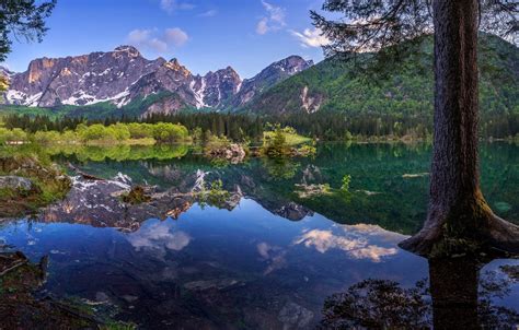 Wallpaper Forest Mountains Lake Reflection Tree Italy Italy The