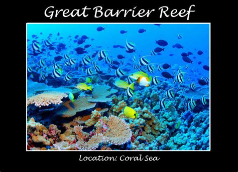 Studio 143 Wonders Of The World Great Barrier Reef