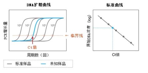 Ct 值的变化并没有反映出反应系统的整体性能（图 3b）。 因此，只有在使用上文定义的相同反应条件来比较实验时，ct 绝对值的比较才有意义。 Ct值 - Rt PcræŒ‡å — å ‰çŽ›åŸºå› - Ct 值的定义 在荧光定量pcr技术中，有一个很 ...