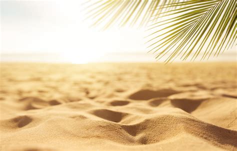 Wallpaper Sand Sea Beach Summer The Sky The Sun Palm Trees Shore