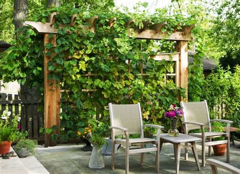 Backyard Privacy Ideas 11 Ways To Add Yours Bob Vila