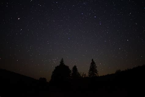 Night Sky Stars Forest Trees The Sky Free Nature Pictures By