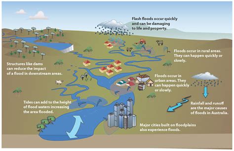 There are several human causes of flooding, including poorly designed infrastructure. Causes & Features - Floods in Australia
