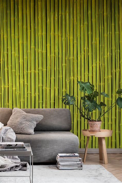 Green Bamboo Wallpaper Bamboo Wallpaper Bamboo Wall Decor Bamboo Wall