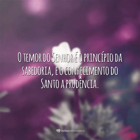 Frases Sabedoria Dos Mestres