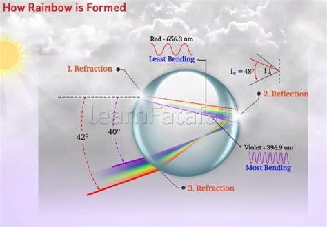 How Is Rainbow Formed Class 12 Chapter 9 Physics Ray Optics And