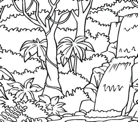 Rainforest Coloring Pages To Print At Getdrawings Free