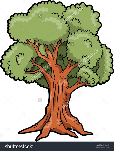 Big Trees Clipart Clipground