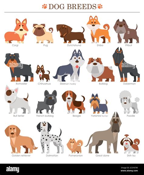 Vector Illustration Of Cartoon Dogs Breeds Set Cute Dog Stock Vector