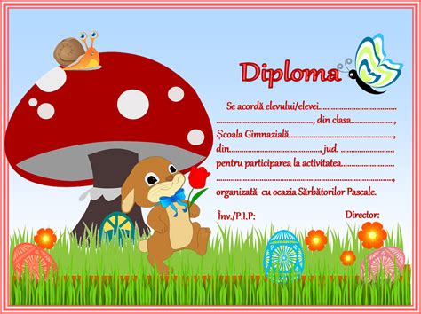 Educatia Conteaza Diploma 2