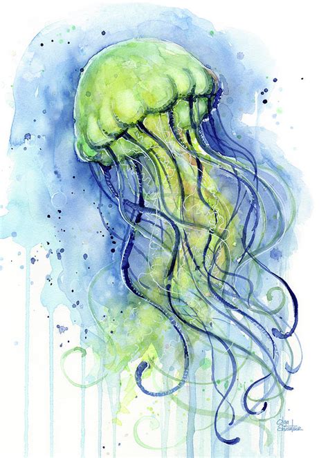 Jellyfish Watercolor Illustration