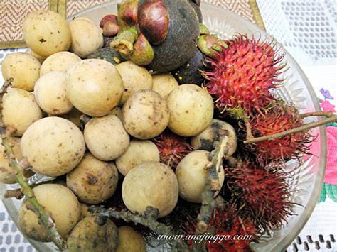 Selain itu ada juga buah huckleberry yang berasal dari kawasan amerika utara. Bila Musim Buah-buahan Tempatan Muncul Kembali