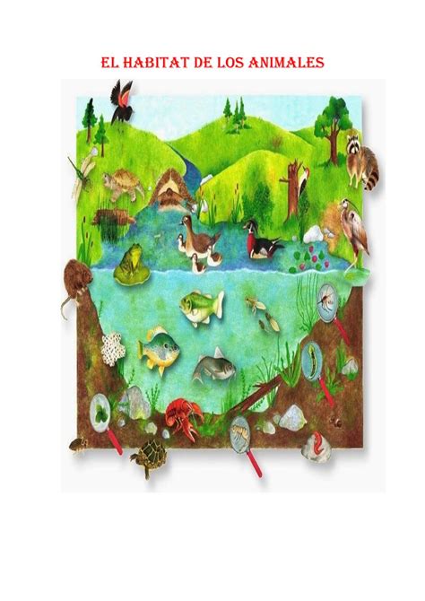 El Habitat De Los Animales By Gabriela Gauna Issuu