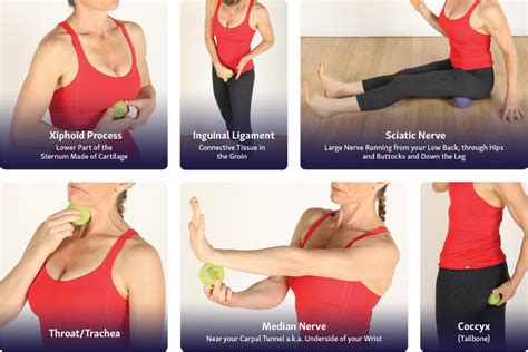 Myofascial Release Courses Near Me Marvellous Things Newsletter Photos