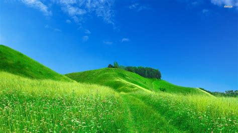 Green Hills Wallpapers Top Free Green Hills Backgrounds Wallpaperaccess