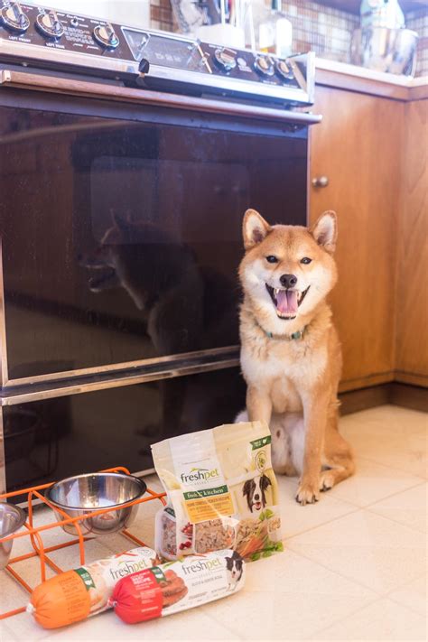 You'll find chicken listed as the first ingredient. Rigby's Favorite Fresh Food // Freshpet Dog Food Review ...