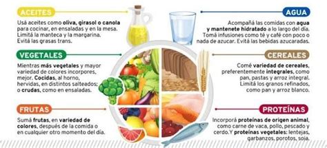 Diagrama Del Plato Del Buen Comer Brainly Lat