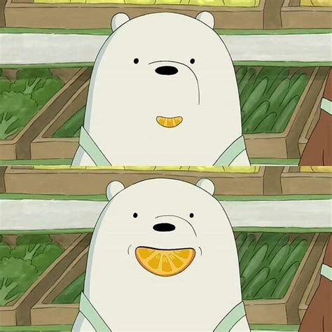 Mei 16, 2021 posting komentar ice bear is the youngest of the trio , but is, undoubtedly, the strongest and, in some ice bear pfp cute / share a gif and browse these related gif searches. Fondos de pantalla 💟 on Twitter: "#Escandalosos #Polar…