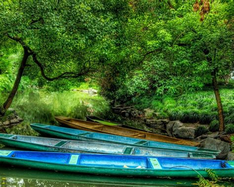 Лес река лодки обои для рабочего стола картинки фото 1280x1024