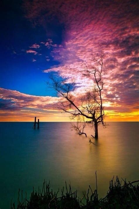 A Lonely Tree Beautiful Nature Beautiful Landscapes Beautiful Images