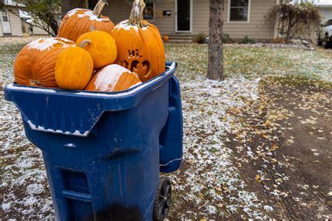 What To Do With Pumpkins After Halloween Southern Maine On The Cheap