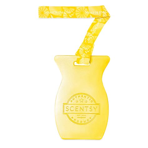 Squeeze The Day Scentsy Car Bar Tlk Scents