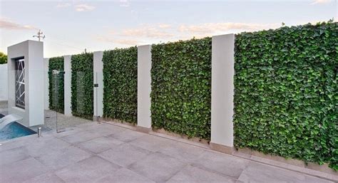 Artificial Green Walls And Plant Walls Dubai Dina Home