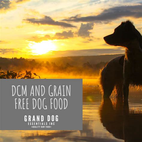 Dilated cardiomyopathy in dogs & cats: What You Need to Know About DCM and Grain Free Dog Food ...