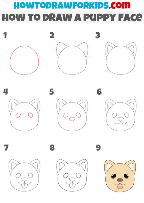 How To Draw A Puppy Face Easy Drawing Tutorial For Kids