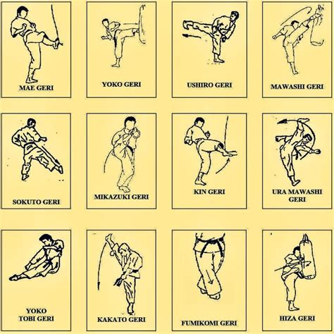 List Of Karate Kicks With Instructions Black Belt Wiki Kyokushin