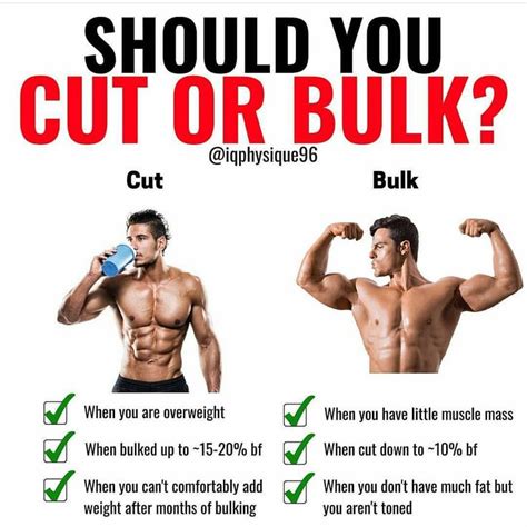 Bulk Vs Cut Workouts Workout Routines For Beginners All Body