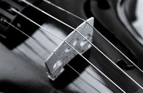 Demystifying The Violin Bridge