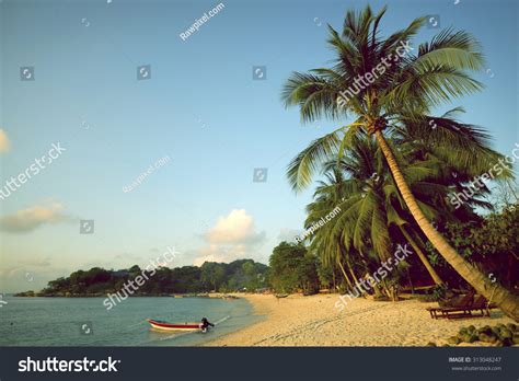 Tropical Beach Seascape Tropical Island Concept Stock Photo 313048247