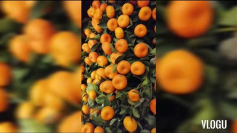 Kiat Kiat Orange Fruit Youtube