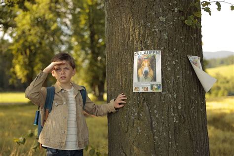 Lassie Torna A Casa Trailer Del Ritorno In Pompa Magna Del Collie Più