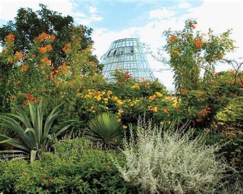 Here are several from the texas hill country and from south central texas. ELLE DECOR Goes to San Antonio | Garden features ...