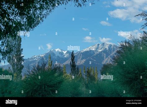 Blue Cloudy Sky Trees And Snowy Ice Peaks In Background Beautiful