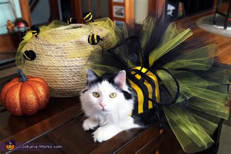 Bumble Bee Cat Costume Diy Instructions