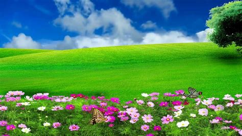 Natural Flower Wallpaper Download Beautiful Scenery 10 Best Spring