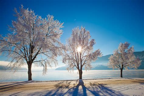 Download 2048x1365 Winter Trees Sunlight Clean Sky Lake Wallpapers