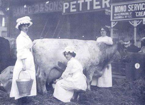british art milking demonstration 1912