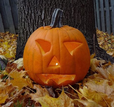 Photo Op With Jack Jack O Lantern Pumpkin Carving Autumn Photography