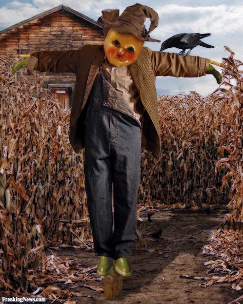 Funny Scarecrows Pictures Freaking News Scarecrow Pictures Scarecrow Halloween Scarecrow