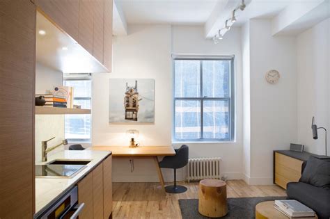 Studio Apartment Living Area Minimizes Clutter Maximizes