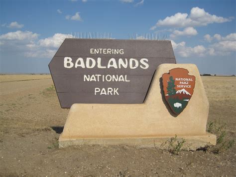 Badlands Bison And Big Ol Presidents Carved Into A