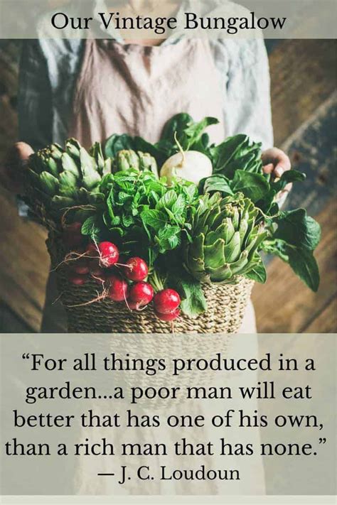 Funny Inspiring Vegetable Gardening Quotes Our Vintage Bungalow