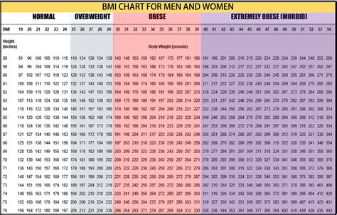 Bmi Calculator For Men Muscle Weight