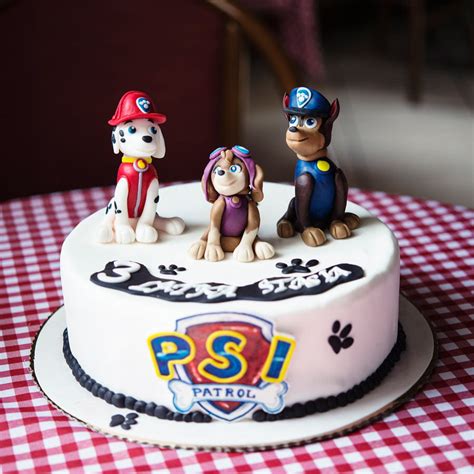 Tort Z Psim Patrolem Uratuje Urodziny