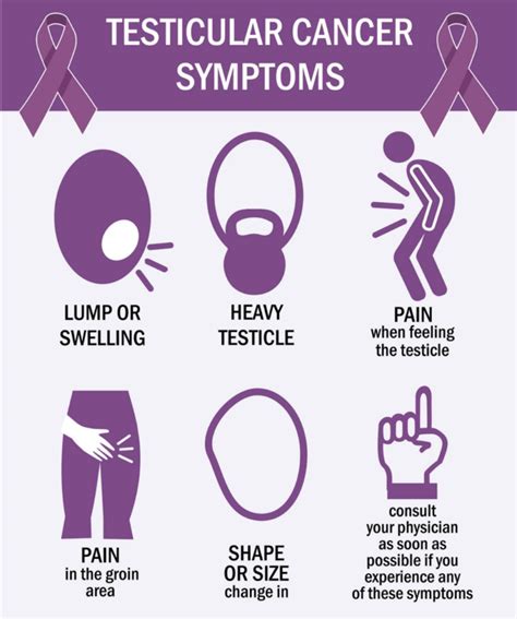 Testicular Cancer Signs Symptoms Risk Factors Stages And Diagnosis